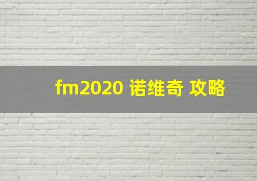 fm2020 诺维奇 攻略